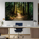 Sunlit Forest Pathway Canvas Print | 3 Panel Large Nature by MyGreatCanvas | Canvas Wall Art Prints | Photo Prints & Wall Decor