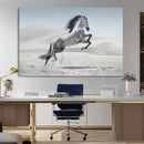 Prancing Horse Desert Large Wall Art Canvas Print – Majestic