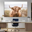 Scottish Serene Highland Cow Canvas Wall Art – Serene