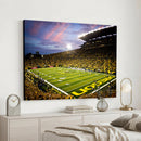 University of Oregon Ducks Football Team Print - Eugene