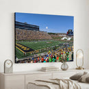 University of Missouri Tigers Football Team Print - Columbia
