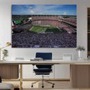 South Carolina Gamecocks Football Team Print - Columbia