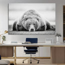 Resting Grizzly Bear Wall Art Canvas Print – Majestic Lazy by MyGreatCanvas | Canvas Wall Art Prints | Photo Prints & Wall Decor