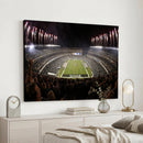 Eagles Field Stadium Wall Art - Philadelphia Eagles Football