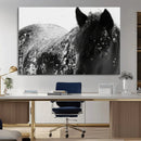 Black Horse in Snow Canvas Print | Winter Horse Wall Art |