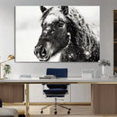 Framed Black and White Horse Wall Art | Ready to Hang and by MyGreatCanvas | Canvas Wall Art Prints | Photo Prints & Wall Decor