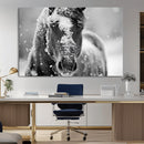Black and White Horse Winter Wall Art | Ready to Hang and