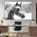 Black Horse Winter Wall Art | Ready to Hang and Framed |