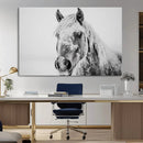 White Horse Wall Art | Ready to Hang and Framed | Winter