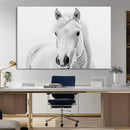 Majestic White Horse Wall Art | Ready to Hang and Framed |