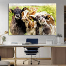 Curious Cows Farmhouse Wall Art | Ready to Hang and Framed
