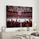 Carolina Hurricanes Ice Hockey Stadium Wall Art, Carolina