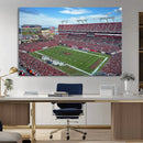 Florida Tampa Raymond James Stadium Wall Art Canvas Print -