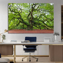 Framed Angel Oak Tree Wall Art - 3-Panel Canvas Prints,