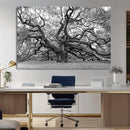 Black White Angel Oak Tree Wall Art - Timeless