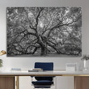 Majestic Angel Oak Tree Black and White Canvas Print – Multi