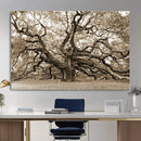 Sepia Framed Angel Oak Tree Wall Art - 3-Panel Canvas
