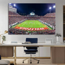 NC State Wolfpack Canvas Print - Raleigh Carter-Finley