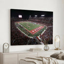 Houston Cougars Football Team Print - Houston TDECU Stadium