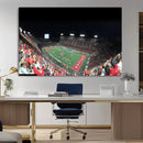 Houston Cougars Football Team Print - Houston TDECU Stadium