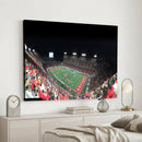 Houston Cougars Football Team Print - Houston TDECU Stadium