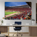 Wisconsin Badgers Football Team Print - Madison Camp Randall by MyGreatCanvas | Canvas Wall Art Prints | Photo Prints & Wall Decor