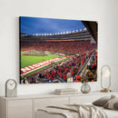 Wisconsin Badgers Football Team Print - Madison Camp Randall