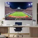 Wolfpack Football Team Print - Raleigh Carter-Finley Stadium
