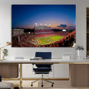 Wolfpack Football Team Wall Art Print - Raleigh
