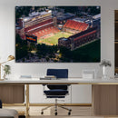 University of Illinois Fighting Illini Football Team Print -
