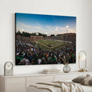 University of Charlotte 49ers Football Team Print -