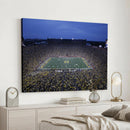 University of Michigan Wolverines Football Team Print - Ann