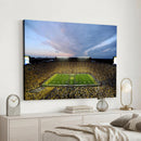 University of Michigan Wolverines Football Team Print - Ann