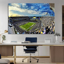 Framed USF Bulls Football Team Print - Tampa Raymond James by MyGreatCanvas | Canvas Wall Art Prints | Photo Prints & Wall Decor