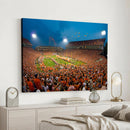Clemson University Tigers Football Team Print - Clemson