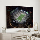 Michigan State Spartans Football Team Print - East Lansing