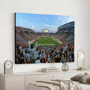 Michigan State Spartans Football Team Art Print - East