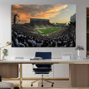 Michigan State Spartans Football Team Print - East Lansing