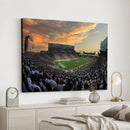 Michigan State Spartans Football Team Print - East Lansing