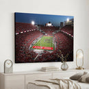 Ohio State University Buckeyes Football Team Print -
