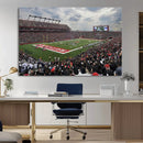 Rutgers Scarlet Knights Football Team Print - SHI Stadium,