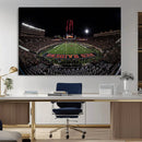 Framed Texas Tech Red Raiders Stadium Canvas, Texas Tech Red