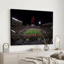 Framed Texas Tech Red Raiders Stadium Canvas, Texas Tech Red