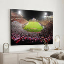 University of Maryland Terrapins Football Team Print -