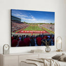 Ball State Cardinals Football Team Print - Muncie Scheumann