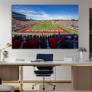 Ball State Cardinals Football Team Print - Muncie Scheumann