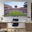 TCU Horned Frogs Football Team Print - Fort Worth Amon G.