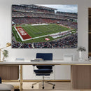 The Temple University Owls Athletics Team Print -