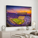 The Louisiana State University Tigers Football Team Print -