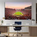 The University of Southern California USC Trojans Football by MyGreatCanvas | Canvas Wall Art Prints | Photo Prints & Wall Decor